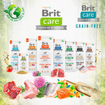 Brit care puppy salmon pienso para perros