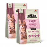 Acana Feline First Feast pienso para gatitos