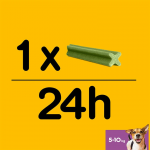 Multipack Dentastix Fresh Pequeño Snack Dental Para Perro