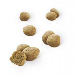 Pack Dentalife de snacks dentales para gatos de salmón