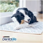 Dentalife Dog Dental Medium 24 Sticks