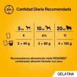 Pedigree Multipack de Comida Húmeda para Perros en Gelatina con Pollo y Cordero