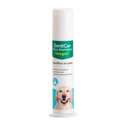 Stangest-Dentican Pasta Dental (1)