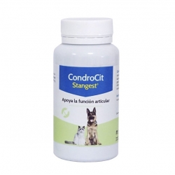 Stangest-Condrocit para Perro y/o Gato (1)