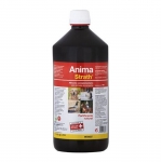 Stangest-Fortificante Natural para Perro y Animales de Compañia (1)