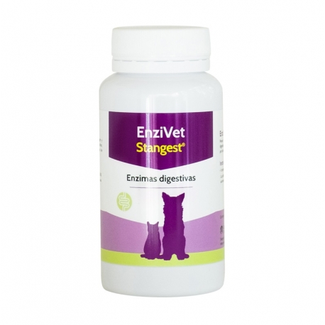 Stangest-Enzivet para Perro y Gato (1)