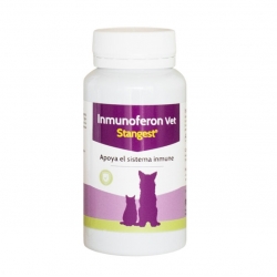 Stangest Inmunoferon Vet Para perros y gatos