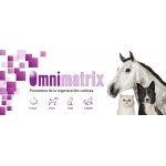 Omnimatrix espuma cicatrizante para perros y gatos
