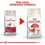 Royal Canin Regular Fit 32 ração para gatos