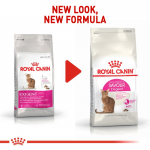 Royal Canin Savour Exigent ração para gatos