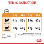 Royal Canin Hair&Skin Care ração para gatos adultos com pele sensível