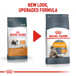 Royal Canin Hair&Skin Care ração para gatos adultos com pele sensível