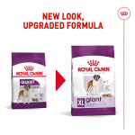 Royal Canin Giant Adulto para cães adultos de tamanho gigante