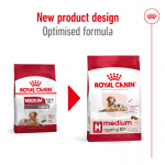 Royal Canin Medium Ageing 10+ Ração para cães idosos de porte médio