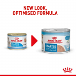 Royal Canin Starter Dog Mousse, alimento húmido para cachorro e mãe lactante