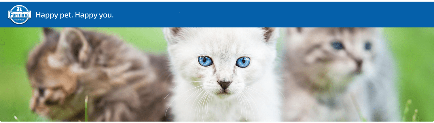 _marca_farmina_alimentacion_gatos (3).pn