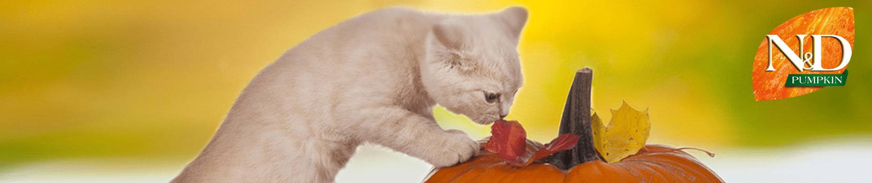 GRAIN_FREE_FARMINA-min (1).png