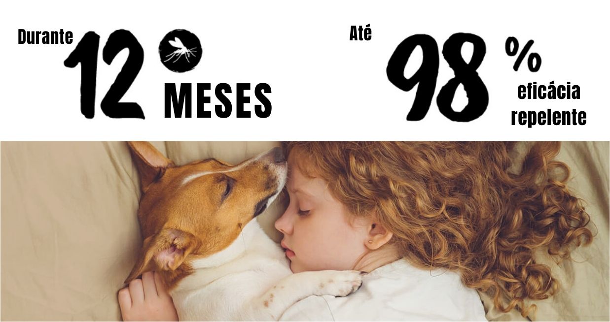 Scalibor protegge così il tuo cane dal flebotomo