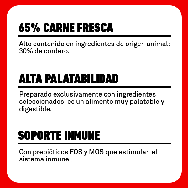 Beneficios_húmedo_Adult_Lamb_Courgettes