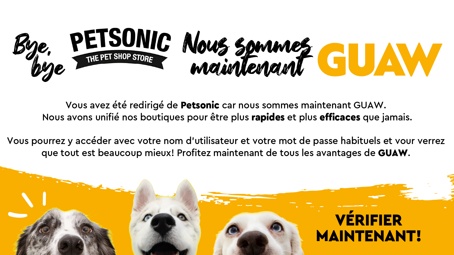 PetSonic - BE